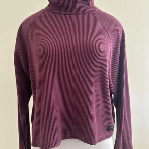 Calvin Klein Plum Ribbed Turtleneck